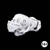 Cerastus masked skull head