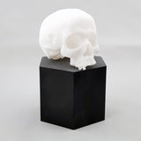 Hex Resin Display Plinths - 50mm Tall