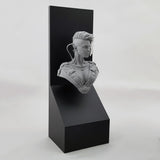 Sloped Backdrop Resin Display Plinths